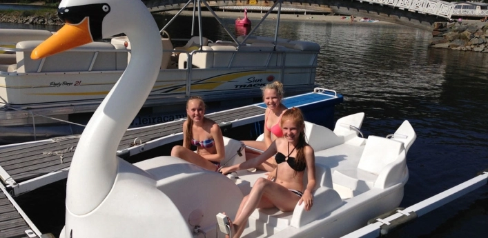 zobacz camping - zdjęcie 9