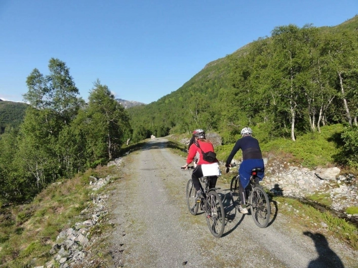 zobacz camping - zdjęcie 14