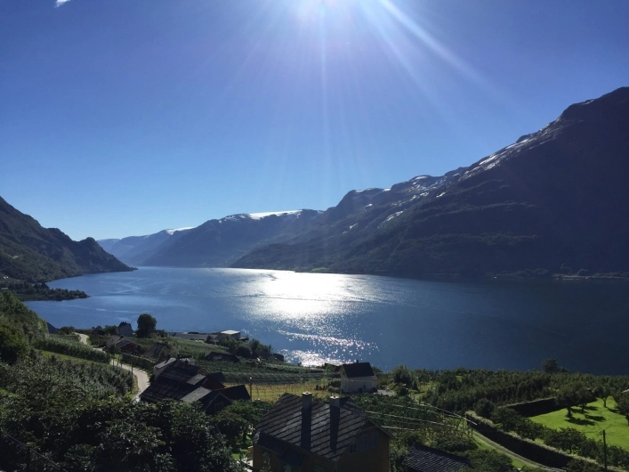 zobacz camping - zdjęcie 13