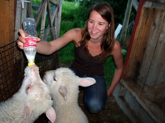 zobacz camping - zdjęcie 5