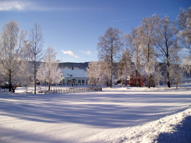 Lyngstrand Camping - zdjęcie 3