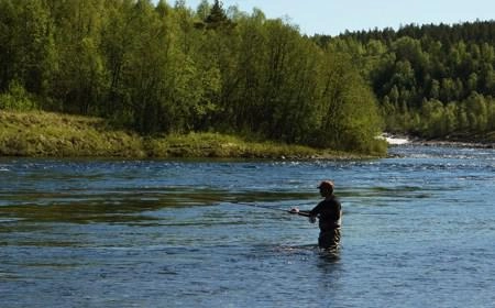 zobacz camping - zdjęcie 7