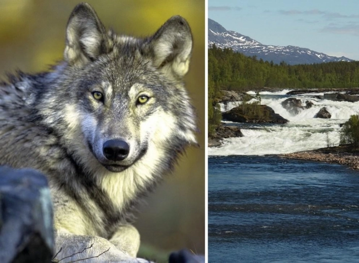 Målselvfossen feriesenter - zdjęcie 2