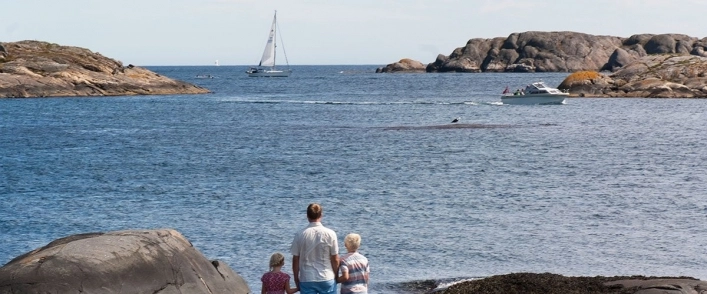 zobacz camping - zdjęcie 5