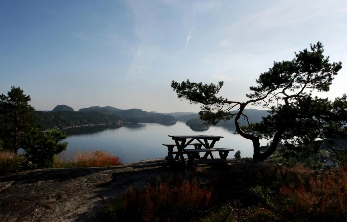 zobacz camping - zdjęcie 6