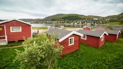 zobacz camping - zdjęcie 12