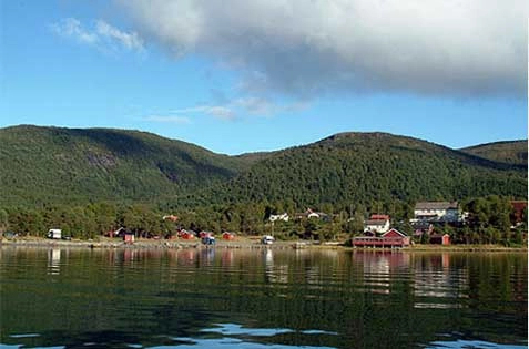 zobacz camping - zdjęcie 2