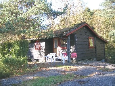 zobacz camping - zdjęcie 8