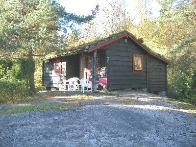 zobacz camping - zdjęcie 6