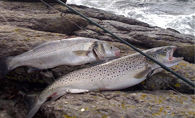 Nesjartun Camping - zdjęcie 2