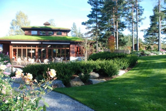 Odden Camping - zdjęcie 1