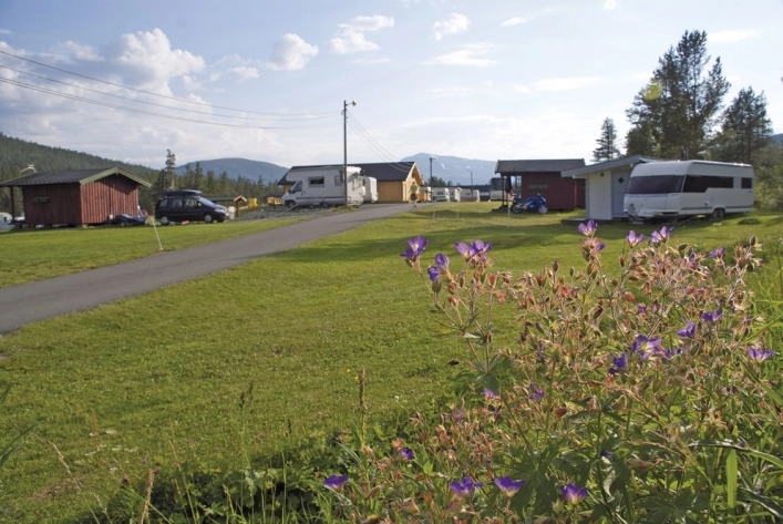 zobacz camping - zdjęcie 13