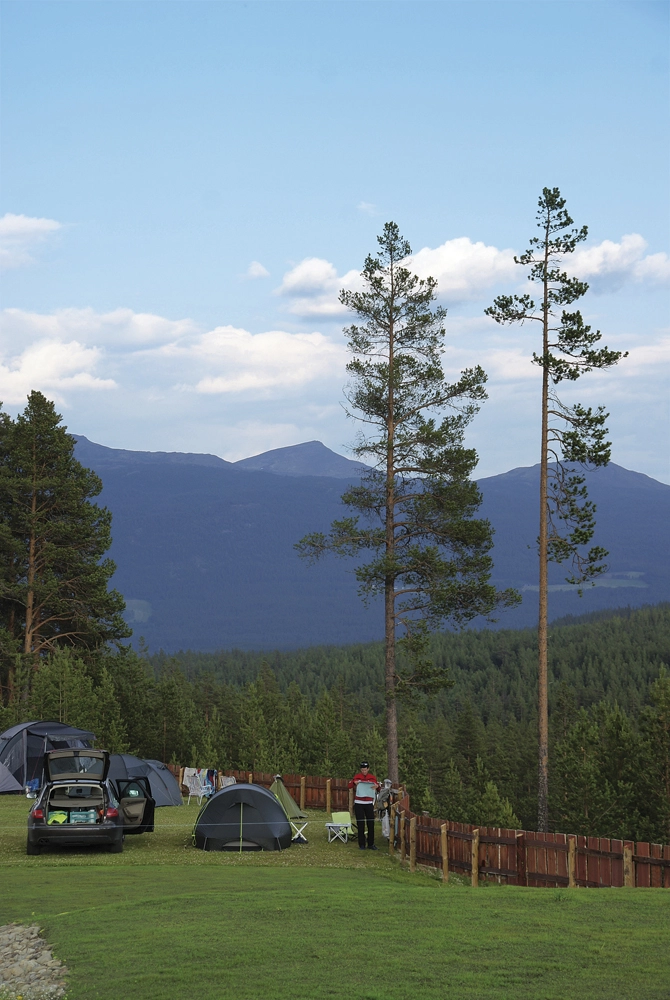 zobacz camping - zdjęcie 10