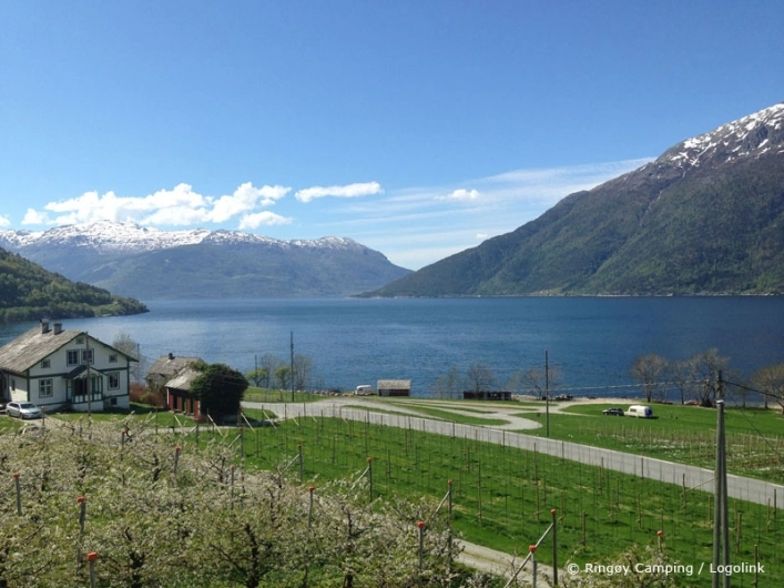 zobacz camping - zdjęcie 9