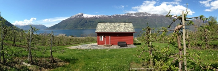 zobacz camping - zdjęcie 7