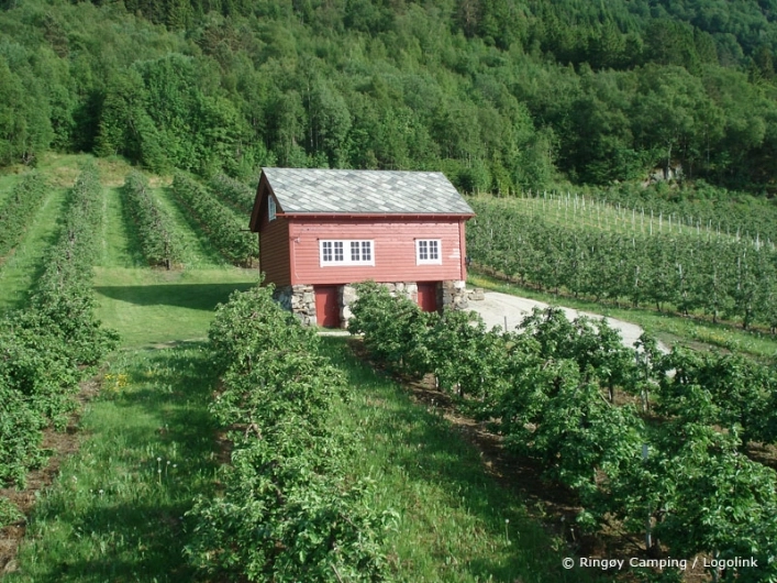 zobacz camping - zdjęcie 6