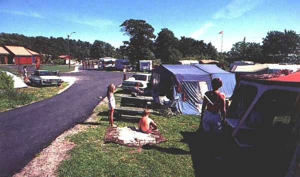 zobacz camping - zdjęcie 7