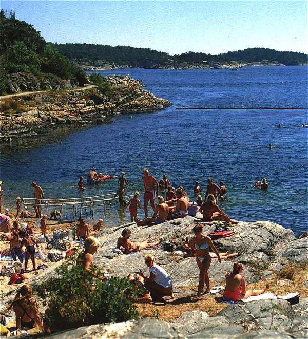 zobacz camping - zdjęcie 3