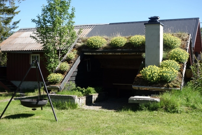 zobacz camping - zdjęcie 10