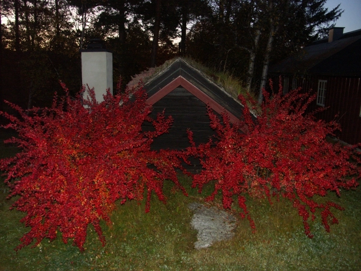 zobacz camping - zdjęcie 9