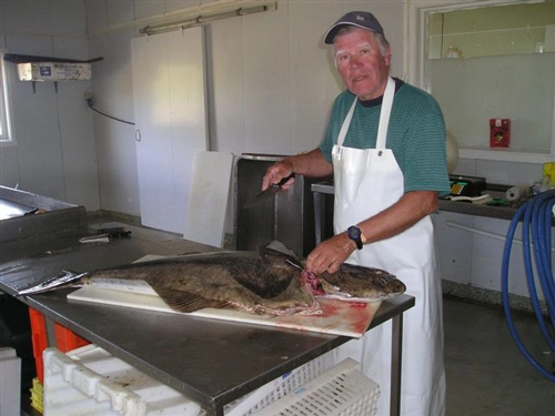 Røytvoll båt og hytteutleie - zdjęcie 3