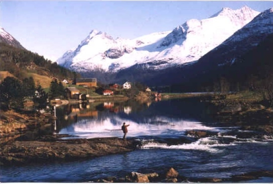 zobacz camping - zdjęcie 9