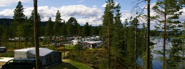 zobacz camping - zdjęcie 3