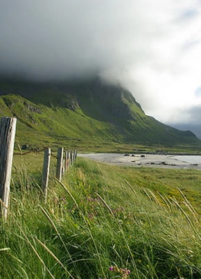 zobacz camping - zdjęcie 1