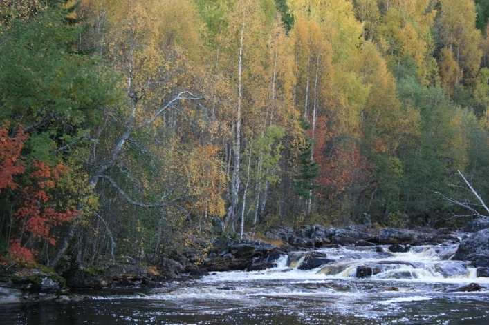 Skahjem Camping - zdjęcie 4