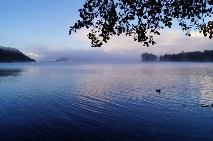 zobacz camping - zdjęcie 2