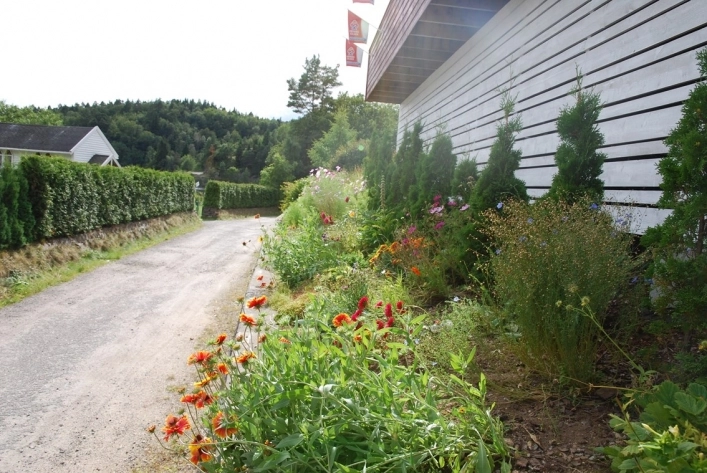 zobacz camping - zdjęcie 10