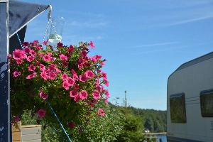 zobacz camping - zdjęcie 4