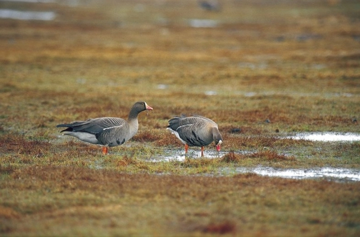 zobacz camping - zdjęcie 12