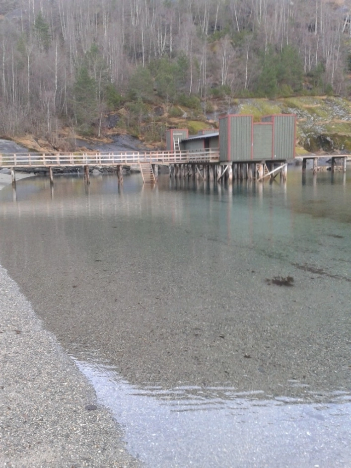 zobacz camping - zdjęcie 6