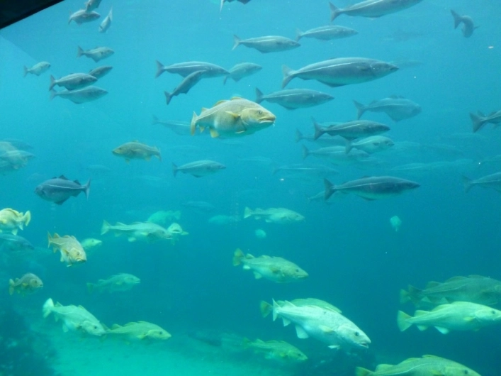 Stadheimfossen Camping & Hytter - zdjęcie 3