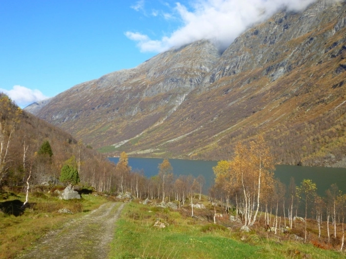 Stadheimfossen Camping & Hytter - zdjęcie 1