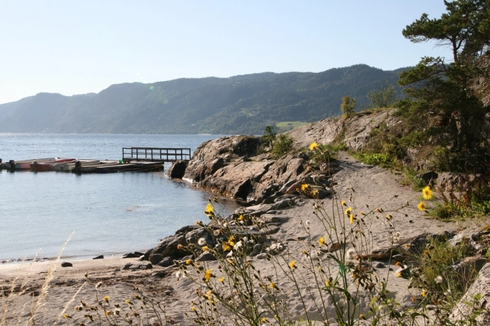 zobacz camping - zdjęcie 7