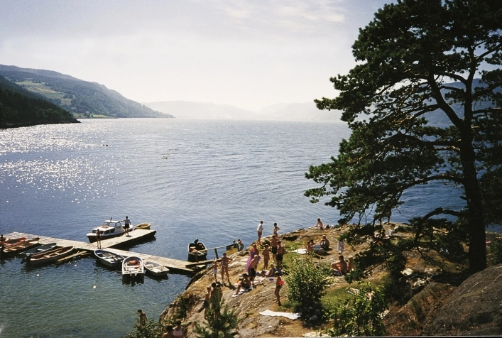 zobacz camping - zdjęcie 2