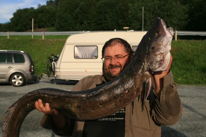 zobacz camping - zdjęcie 1