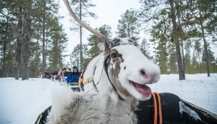 zobacz camping - zdjęcie 16