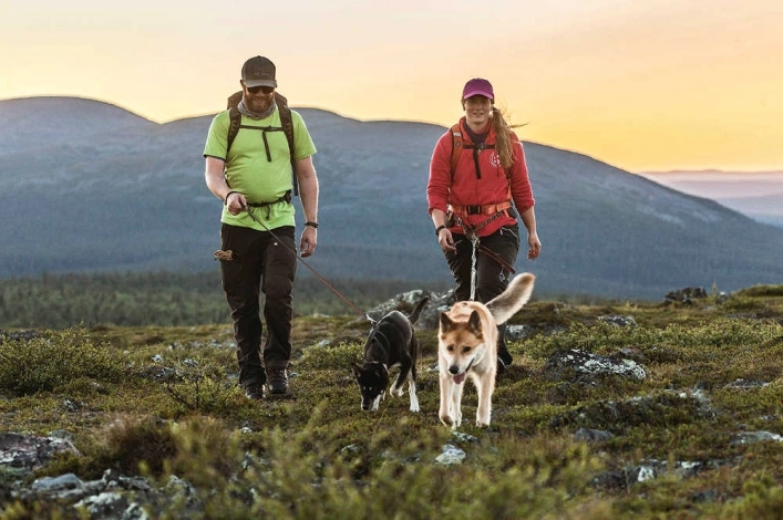 zobacz camping - zdjęcie 15