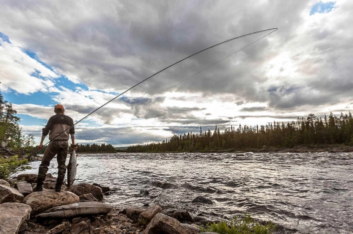 zobacz camping - zdjęcie 5