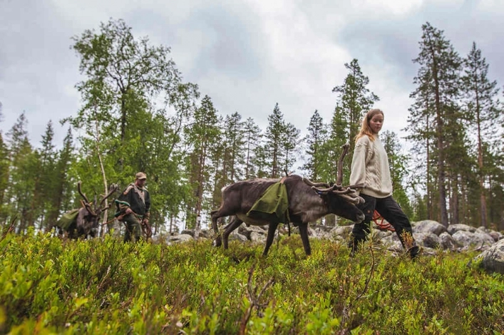 zobacz camping - zdjęcie 2