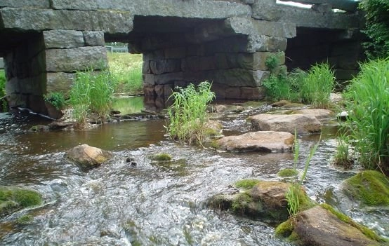 zobacz camping - zdjęcie 6