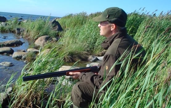 zobacz camping - zdjęcie 5