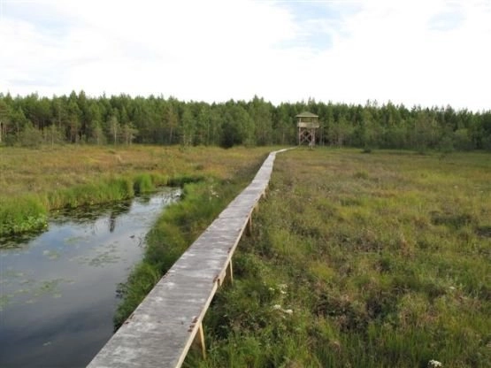 Camping Harrström UF - zdjęcie 2