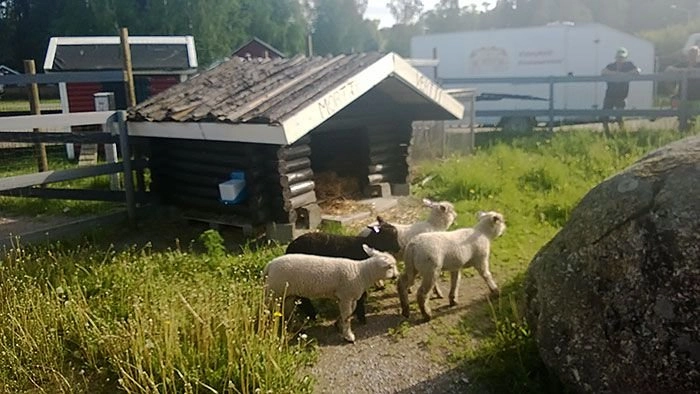 zobacz camping - zdjęcie 22