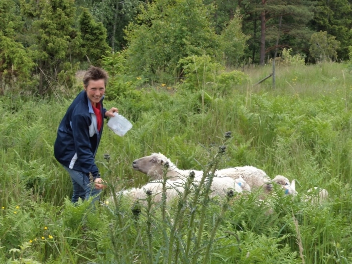 zobacz camping - zdjęcie 21