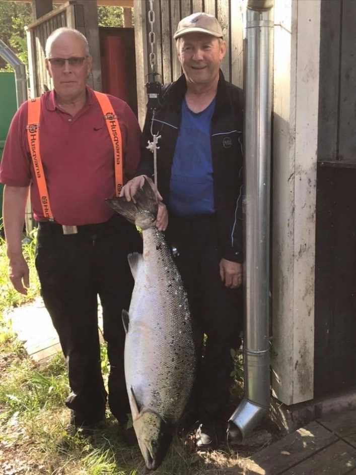 zobacz camping - zdjęcie 25