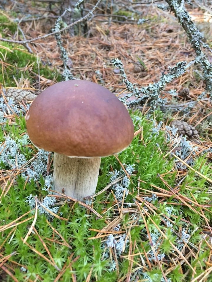 zobacz camping - zdjęcie 23